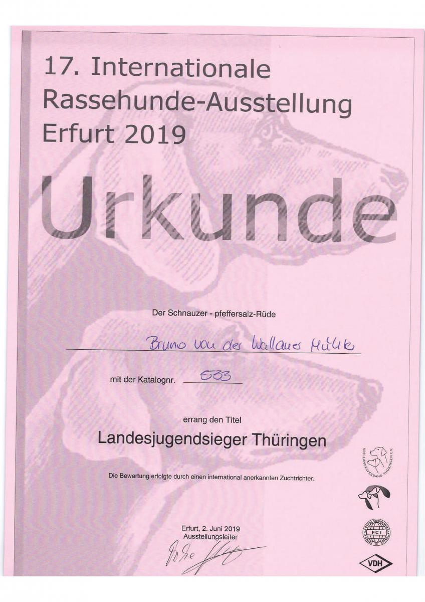 19 06 02 Erfurt_Jugendklasse-3