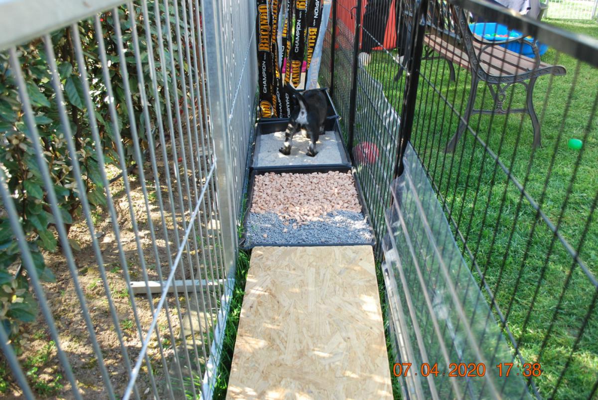 IMG-20200407-WA0012