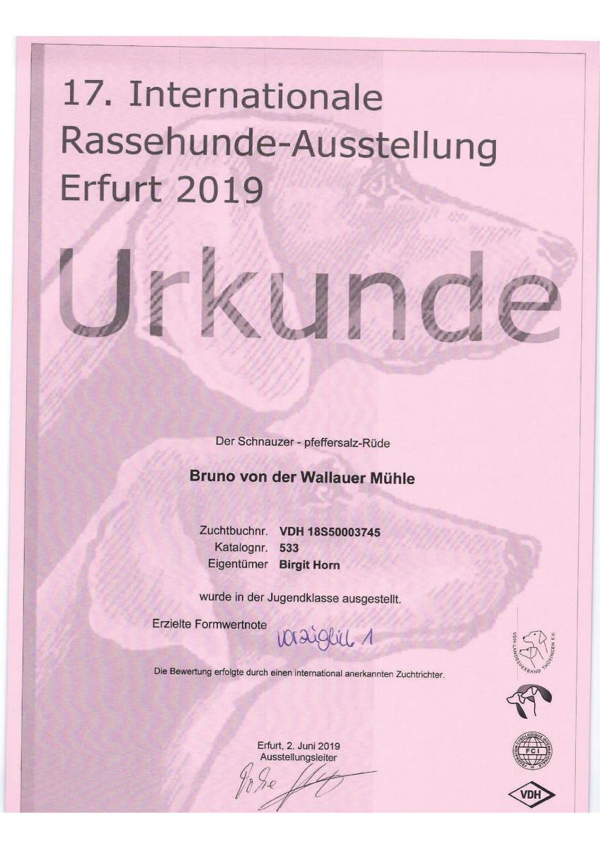 19 06 02 Erfurt_Jugendklasse-2