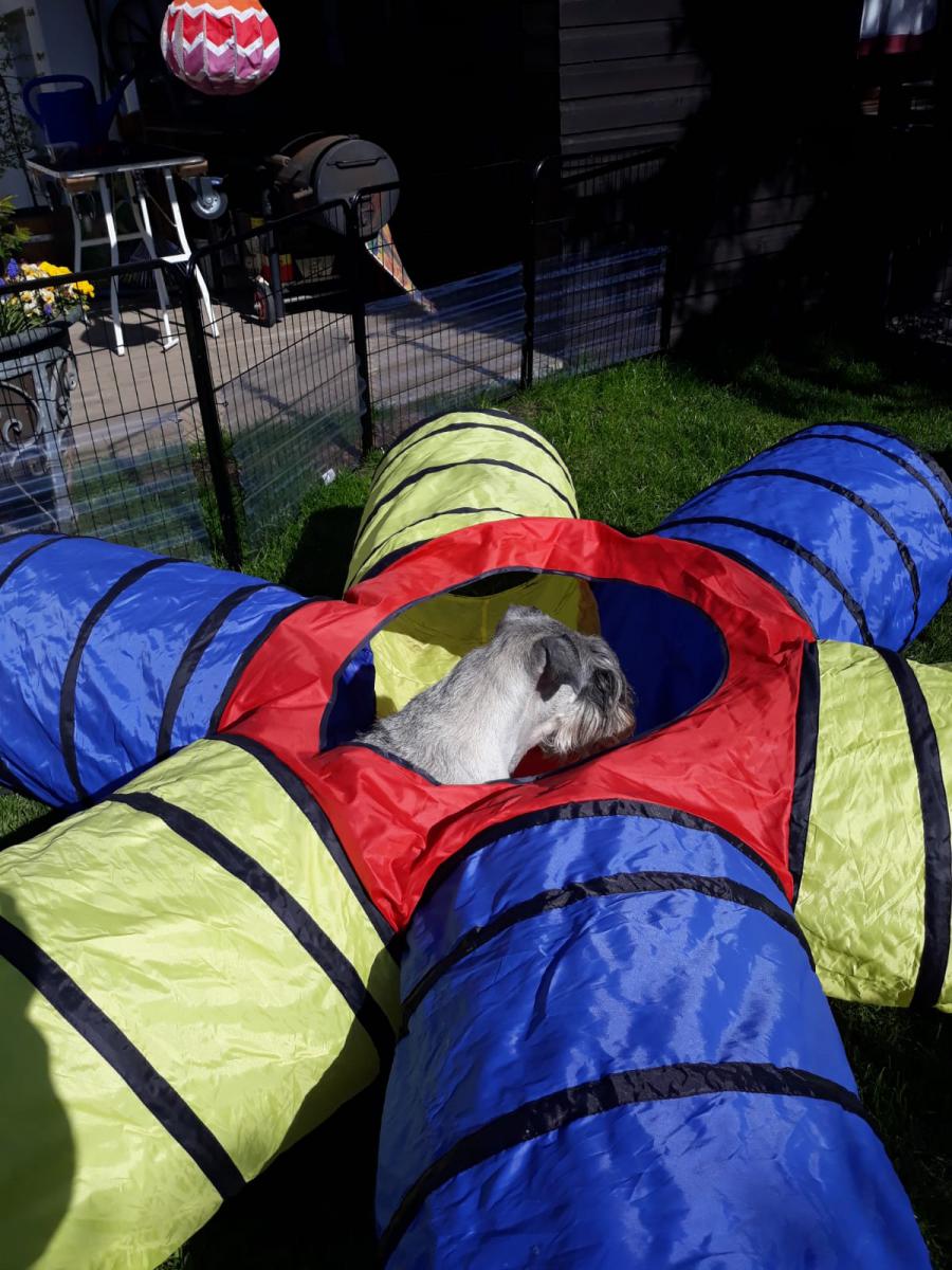 IMG-20200331-WA0019