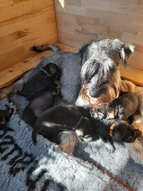 k-IMG-20220307-WA0020