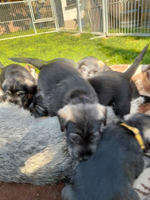 k-IMG-20220323-WA0013