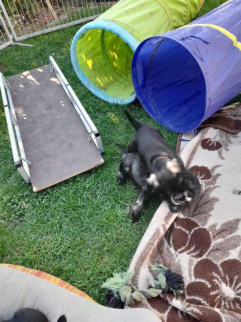 k-IMG-20220327-WA0044