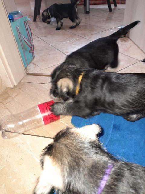 k-IMG-20220402-WA0016