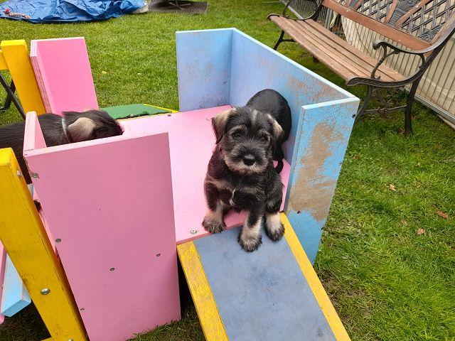 k-IMG-20220405-WA0020