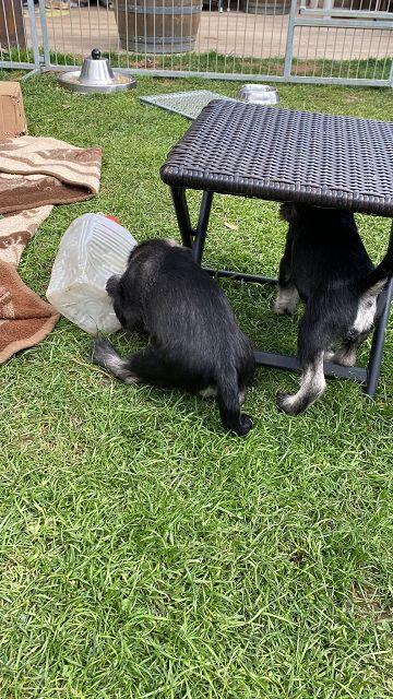 k-IMG-20220410-WA0027