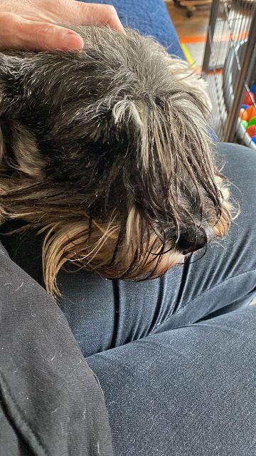 k-IMG-20220410-WA0034