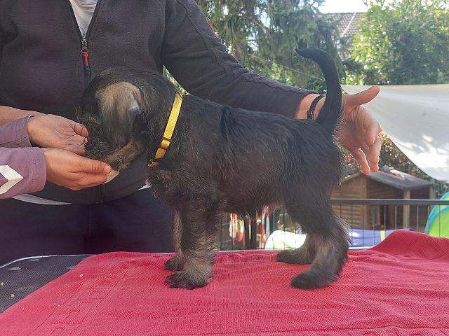 k-IMG-20220412-WA0023