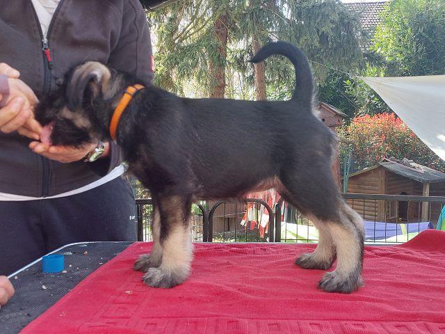 k-IMG-20220412-WA0033