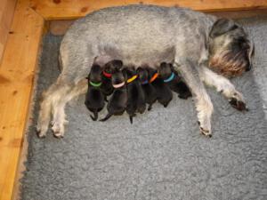 IMG-20210409-WA0010