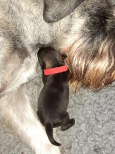 IMG-20210410-WA0015