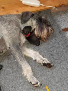 IMG-20210410-WA0016