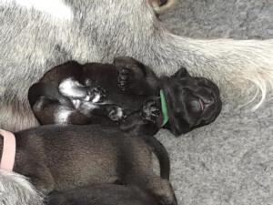 IMG-20210411-WA0033