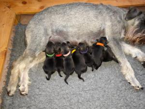 IMG-20210411-WA0038
