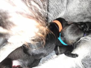 IMG-20210411-WA0039
