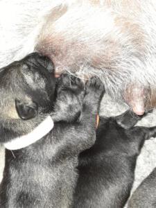 IMG-20210411-WA0044