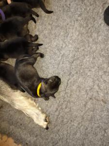 IMG-20210411-WA0050