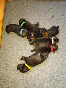 IMG-20210412-WA0019