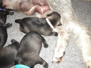 IMG-20210413-WA0014