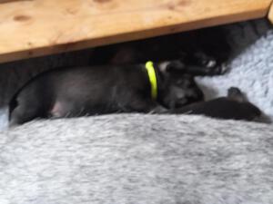 IMG-20210417-WA0058