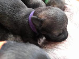 IMG-20210418-WA0019