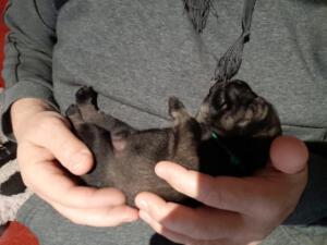 IMG-20210418-WA0021