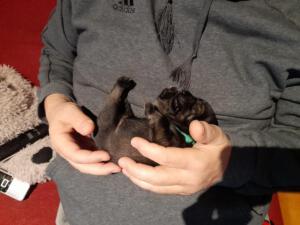 IMG-20210418-WA0022