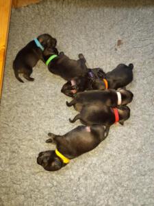 IMG-20210418-WA0024