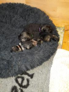 IMG-20210424-WA0046