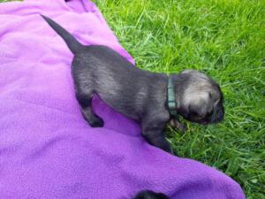IMG-20210502-WA0011