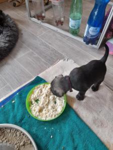 IMG-20210505-WA0033
