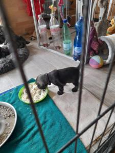 IMG-20210505-WA0034