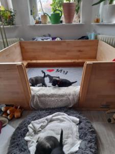IMG-20210505-WA0036