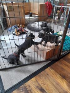 IMG-20210505-WA0040