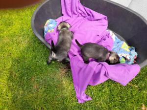 IMG-20210508-WA0024