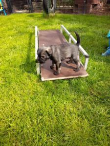 IMG-20210508-WA0025