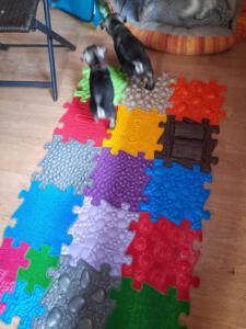 IMG-20210518-WA0032