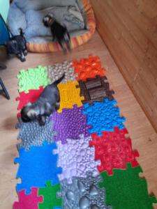 IMG-20210518-WA0033