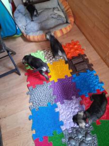 IMG-20210518-WA0034
